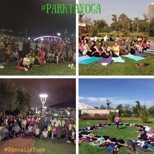 Parkta Yoga 2017